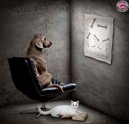 kalb wa mocha